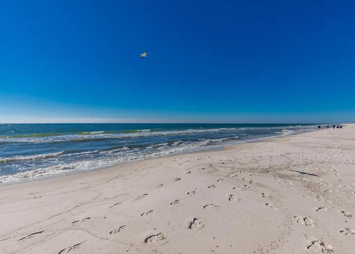 Surf & Racquet 201b Apartment *